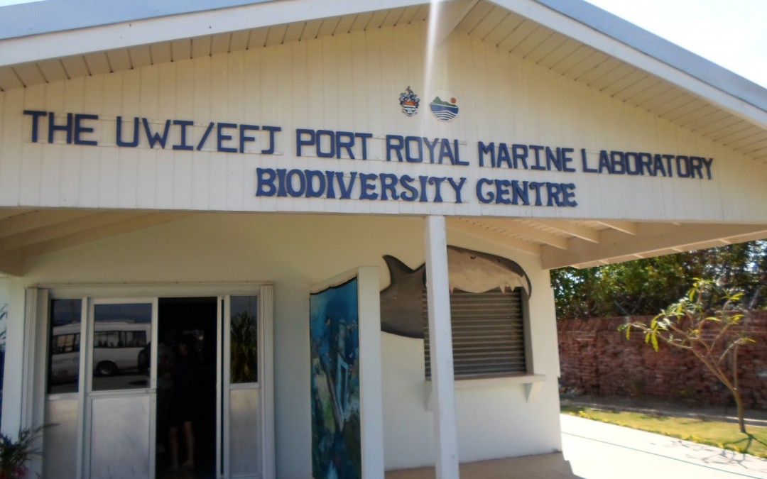 YOU Trip to UWI Marine Laboratory